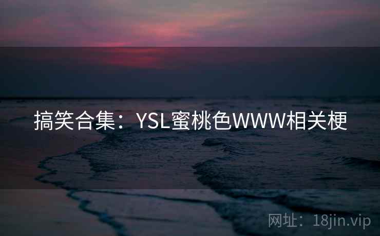 搞笑合集：YSL蜜桃色WWW相关梗