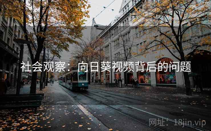 社会观察：向日葵视频背后的问题