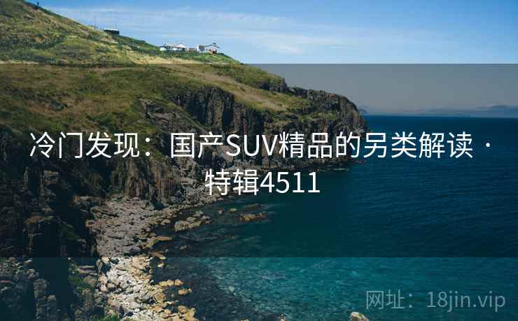 冷门发现：国产SUV精品的另类解读 · 特辑4511