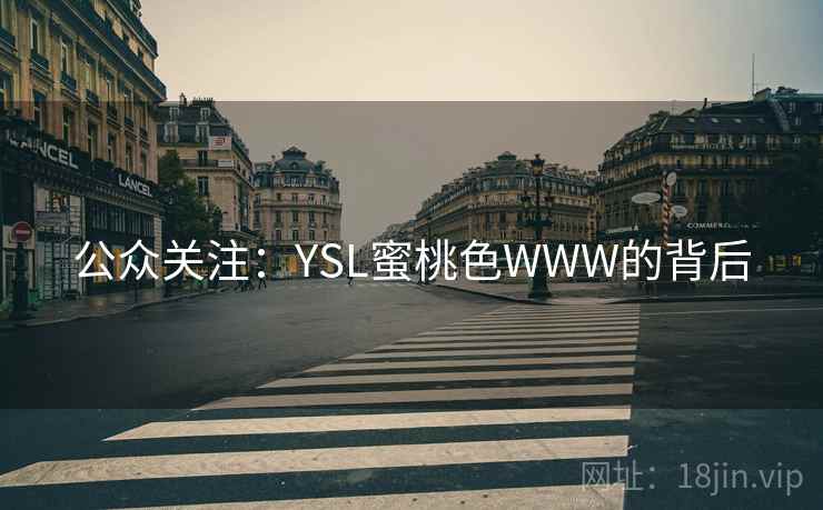 公众关注：YSL蜜桃色WWW的背后