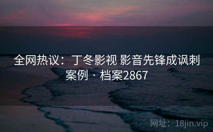 全网热议：丁冬影视 影音先锋成讽刺案例 · 档案2867
