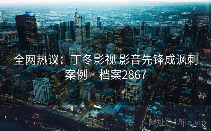 全网热议：丁冬影视 影音先锋成讽刺案例 · 档案2867